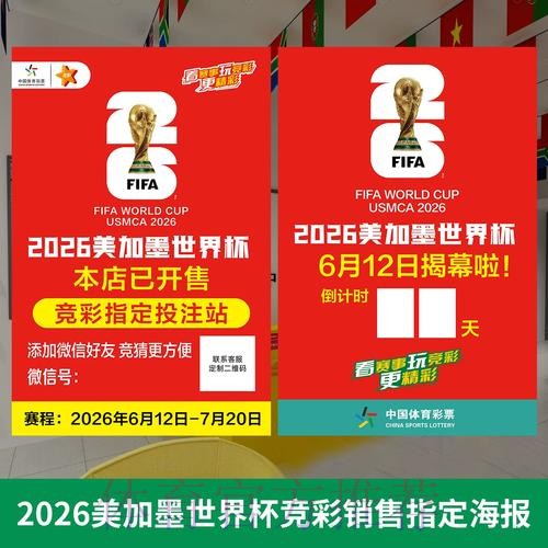 世界杯官方投注入口解析与实用指引