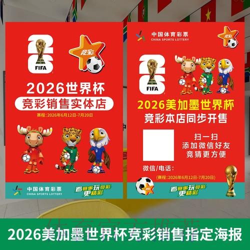 世界杯官方投注入口解析与实用指引