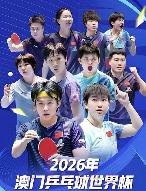 2026年世界杯投注APP精选指南